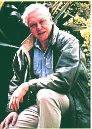 dav.jpg (22141 bytes)