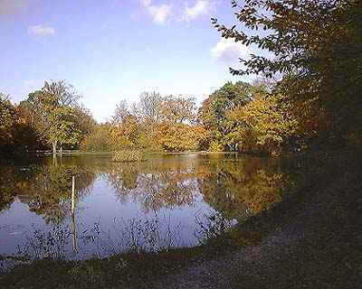 kestonpond.jpg (20769 bytes)
