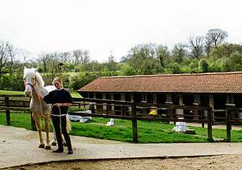 paddock2.jpg (13007 bytes)