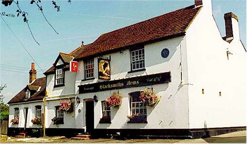 bsarms.jpg (28356 bytes)
