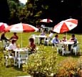 kinggdn.jpg (12788 bytes)